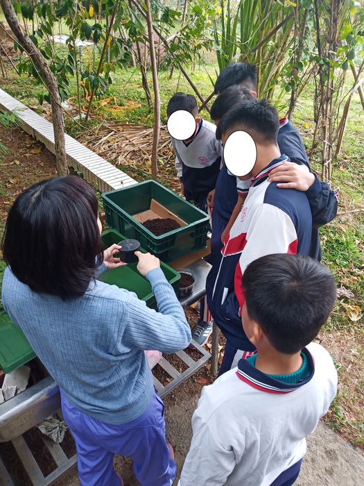 蚯蚓養殖減少廢棄物